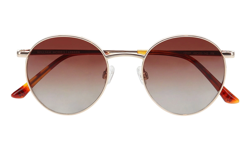 Солнцезащитные очки William Morris 10094 2022