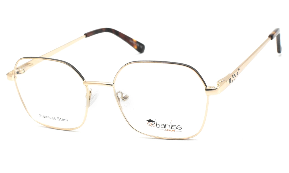 Оправа BANISS BY1001 C03