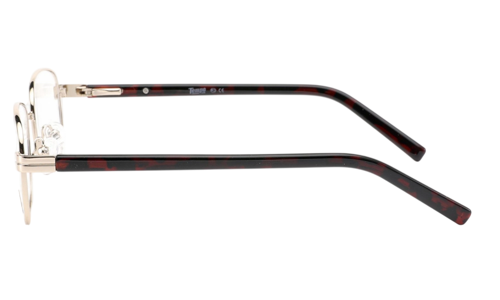 Оправа TEMPO TE1002 C01