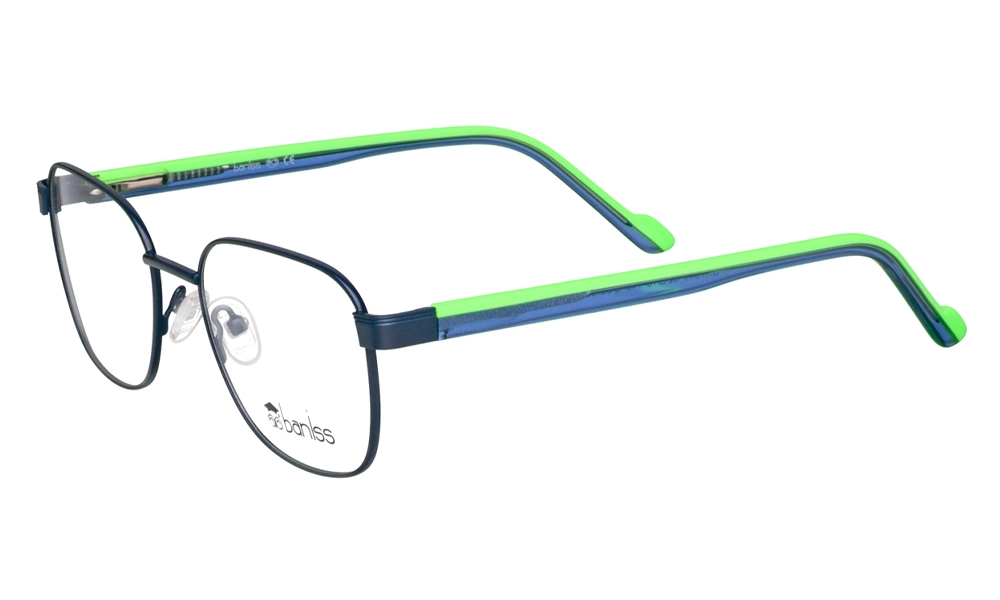 Оправа BANISS BR7040 C03