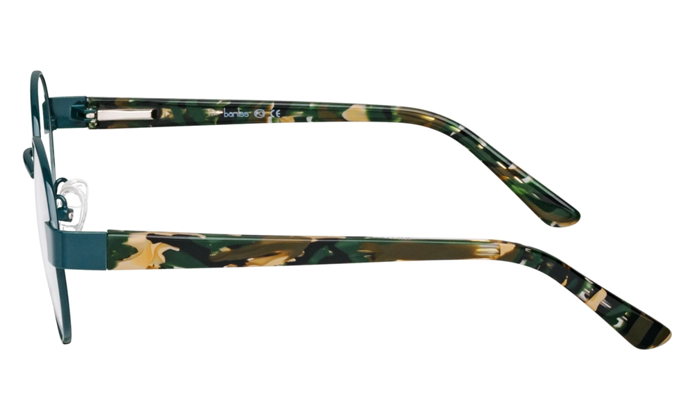 Оправа BANISS BRJ4033 C02