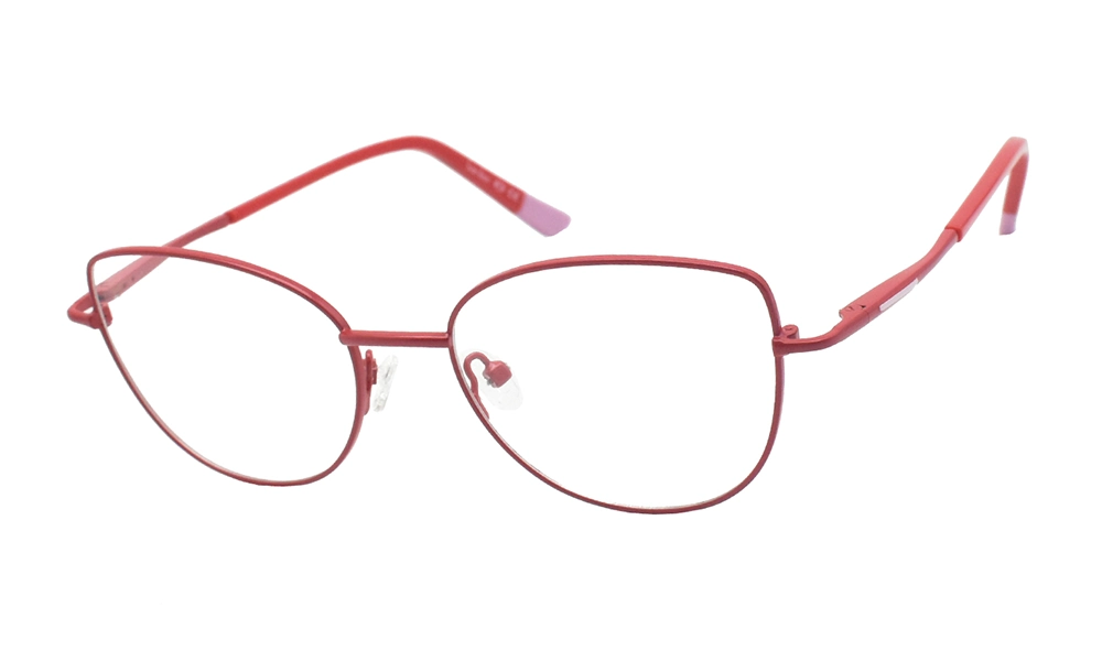 Оправа BANISS BR5090 C02