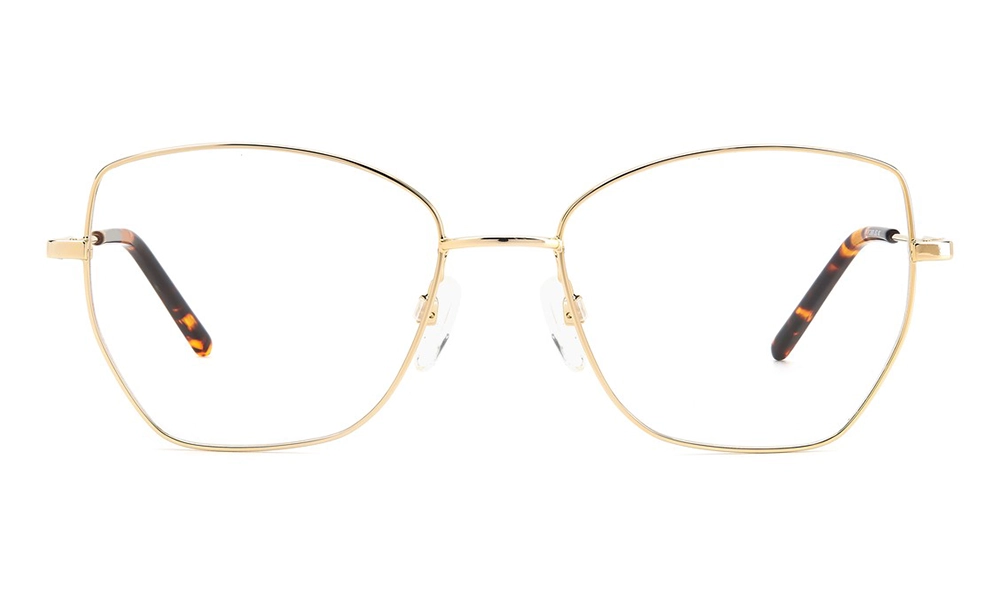 Оправа PIERRE CARDIN PC 8876 J5G