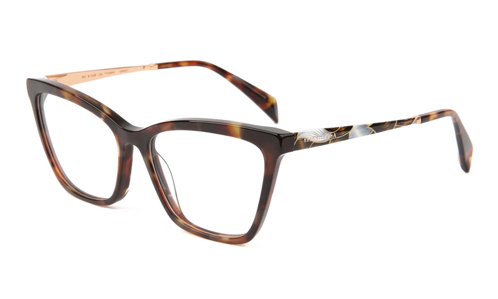 Очки для зрения ANA HICKMANN AH6527T G21