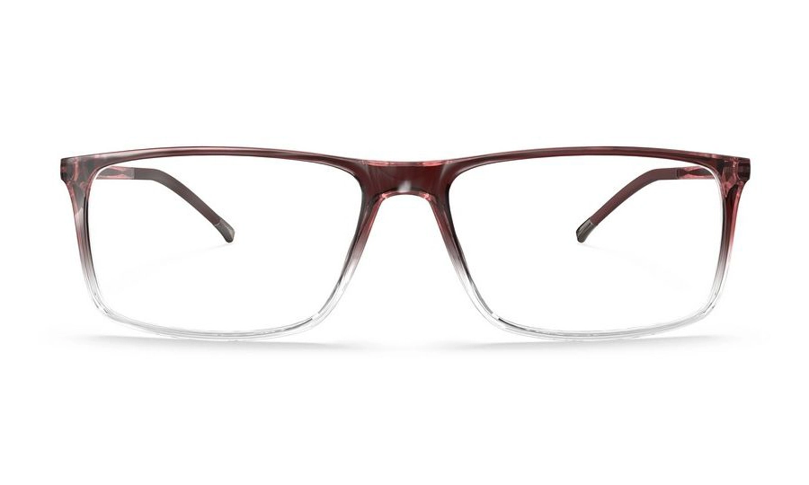 Оправа SILHOUETTE 2941_75 3210