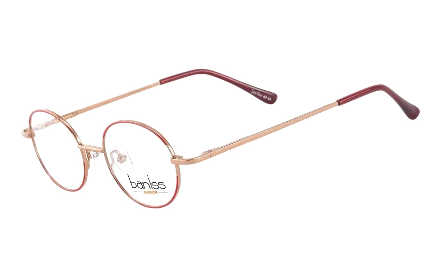 Очки для зрения BANISS BRJ4023 C01