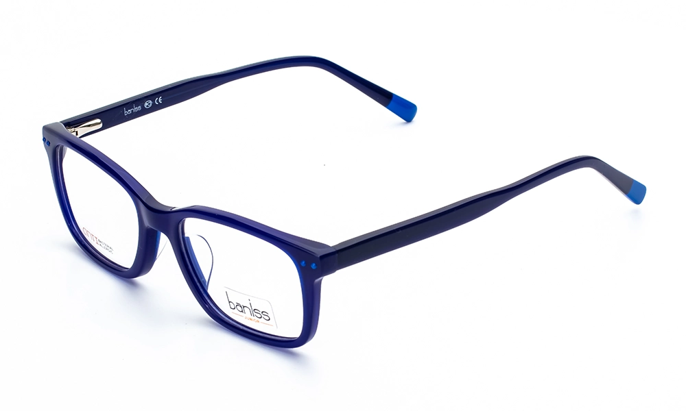 Оправа BANISS BSJ6070 C03