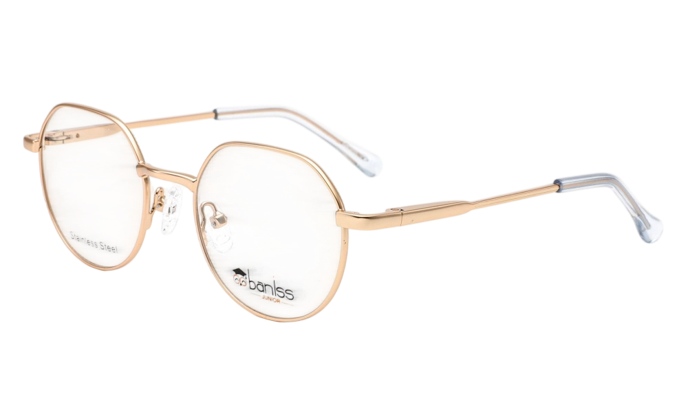 Оправа BANISS BR2147 C01