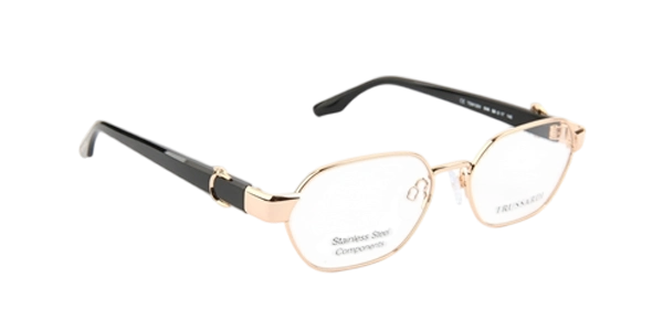 Оправа TRUSSARDI TSW1201 04A