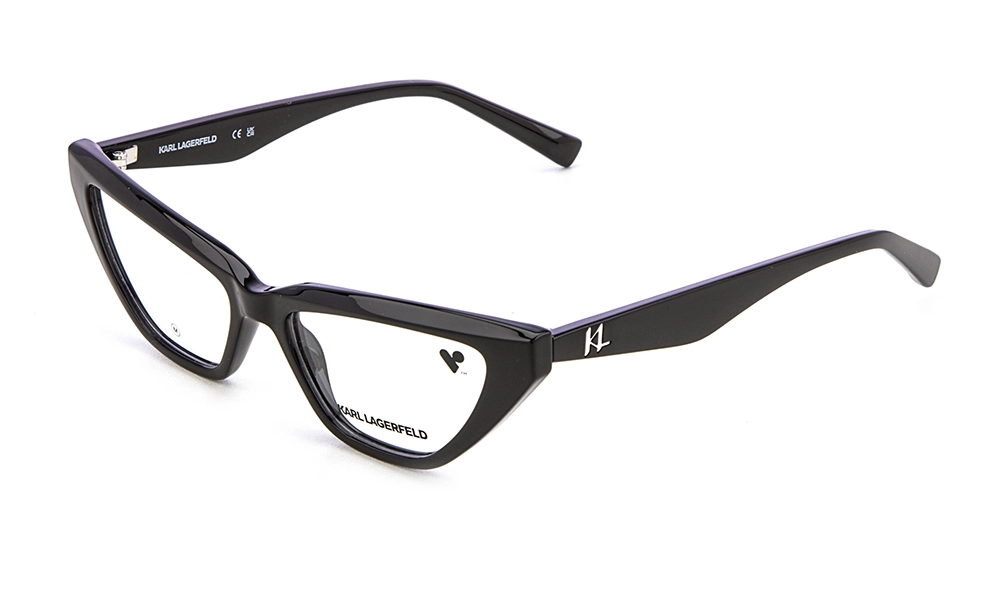 Оправа Karl Lagerfeld KL 6175 001