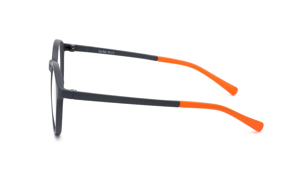 Оправа BANISS BS9035 C03