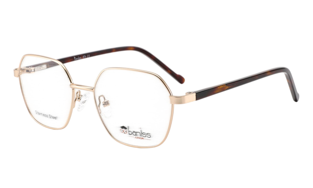 Очки для зрения BANISS BR5114 C02