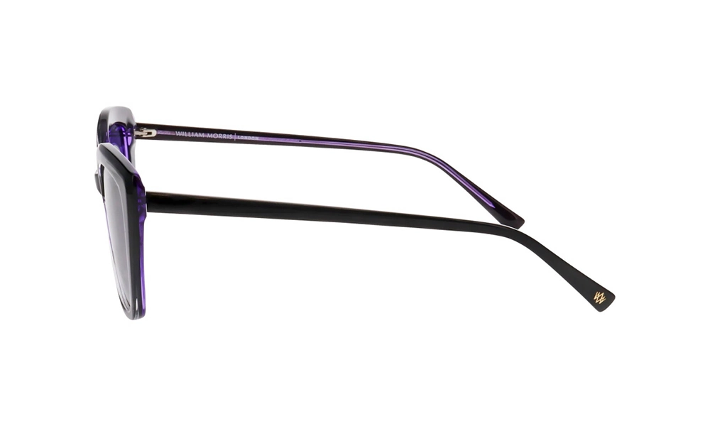 Солнцезащитные очки William Morris 10074 6822