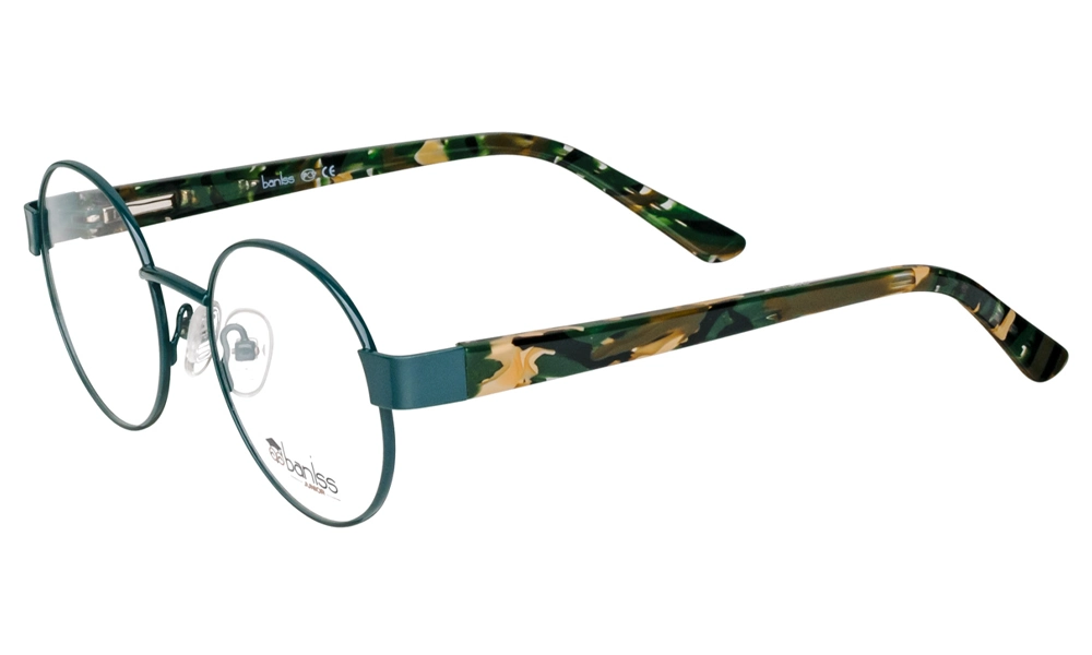 Очки для зрения BANISS BRJ4033 C02