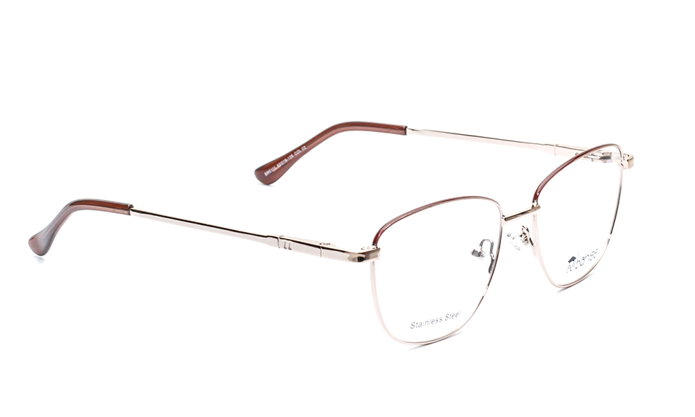 Очки для зрения BANISS BR5111 C02