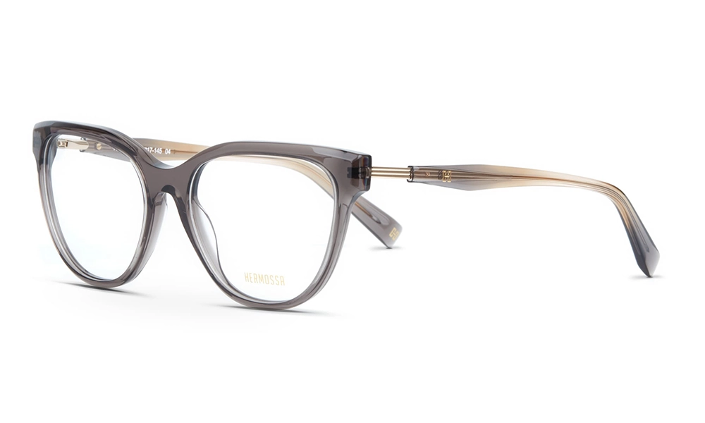 Очки для зрения HERMOSSA HMO 515 C4