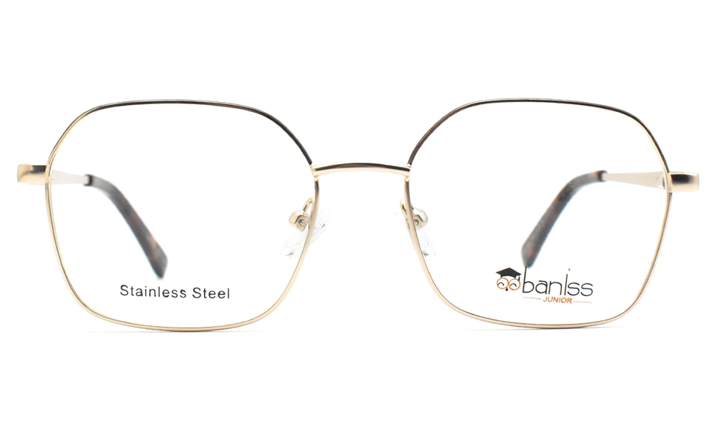 Оправа BANISS BY1001 C03