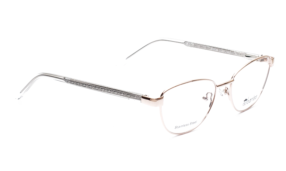 Очки для зрения BANISS BR5100 C01