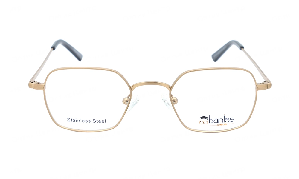 Оправа BANISS BY1010 C02