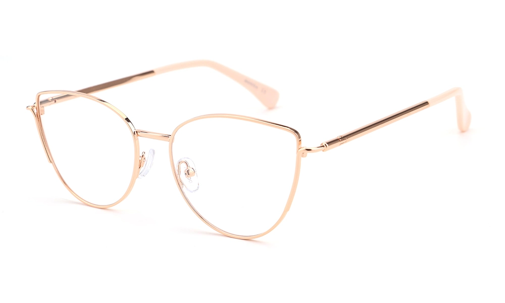 Оправа DONNA DN 3190 C4