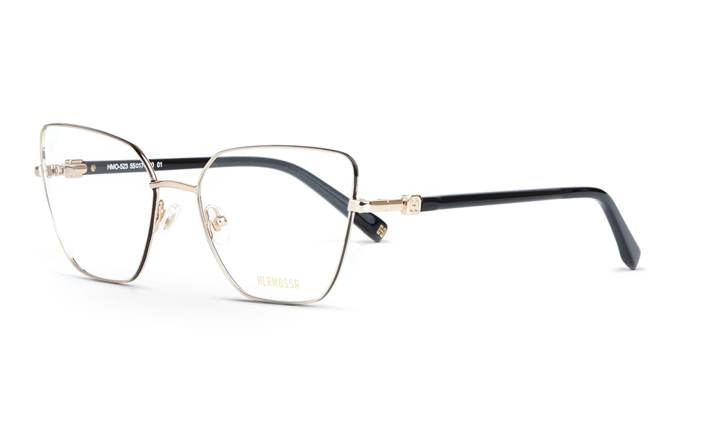 Очки для зрения HERMOSSA HMO 523 C1