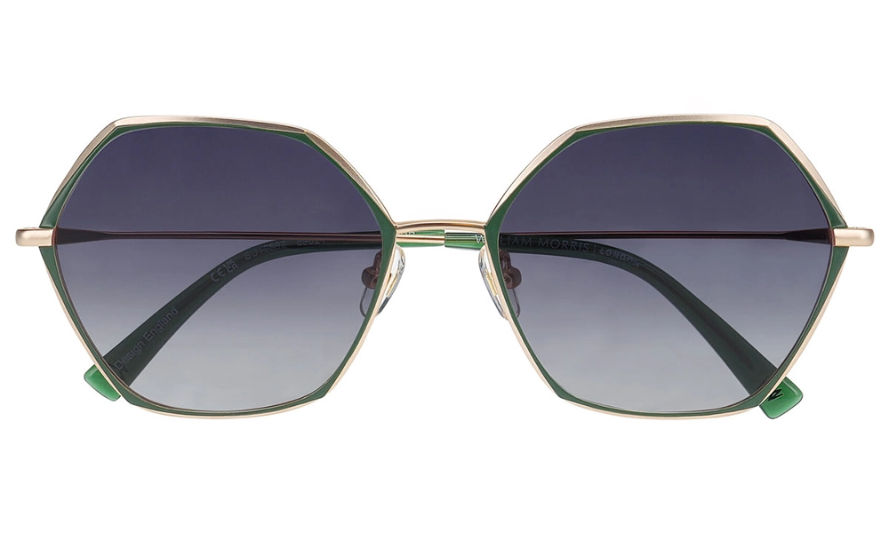 Солнцезащитные очки William Morris 10092 9521