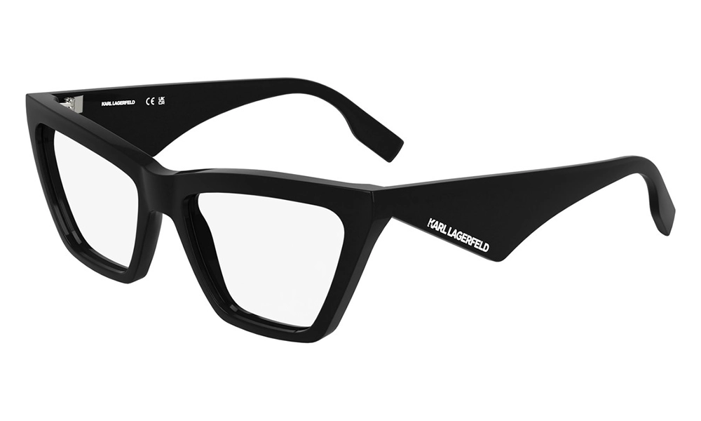 Очки для зрения Karl Lagerfeld KL 6195 001