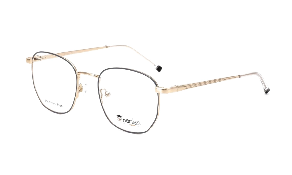 Очки для зрения BANISS BRJ4039 C02