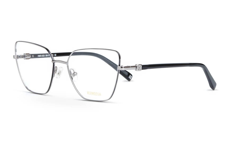 Очки для зрения HERMOSSA HMO 523 C2