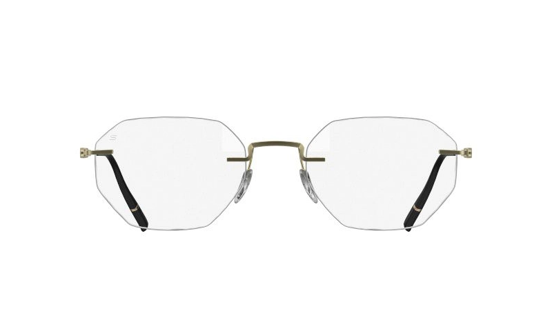 Оправа SILHOUETTE 5586_PA 8540