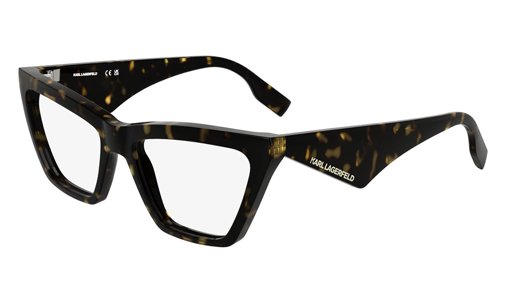 Очки для зрения Karl Lagerfeld KL 6195 242