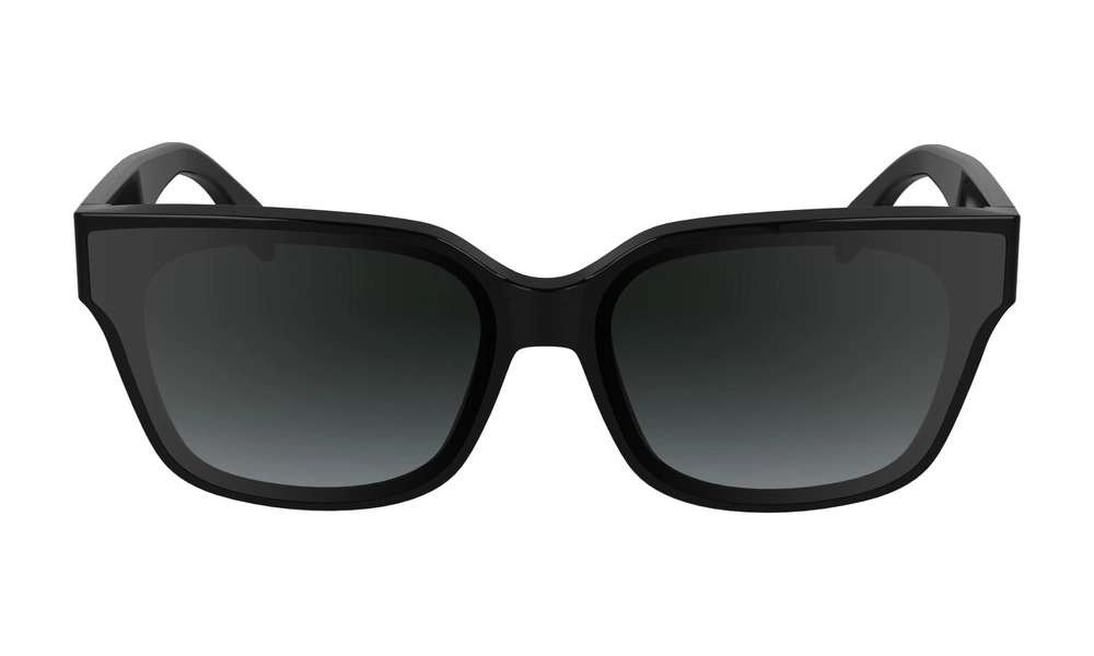Солнцезащитные очки Karl Lagerfeld KL 6161S 001