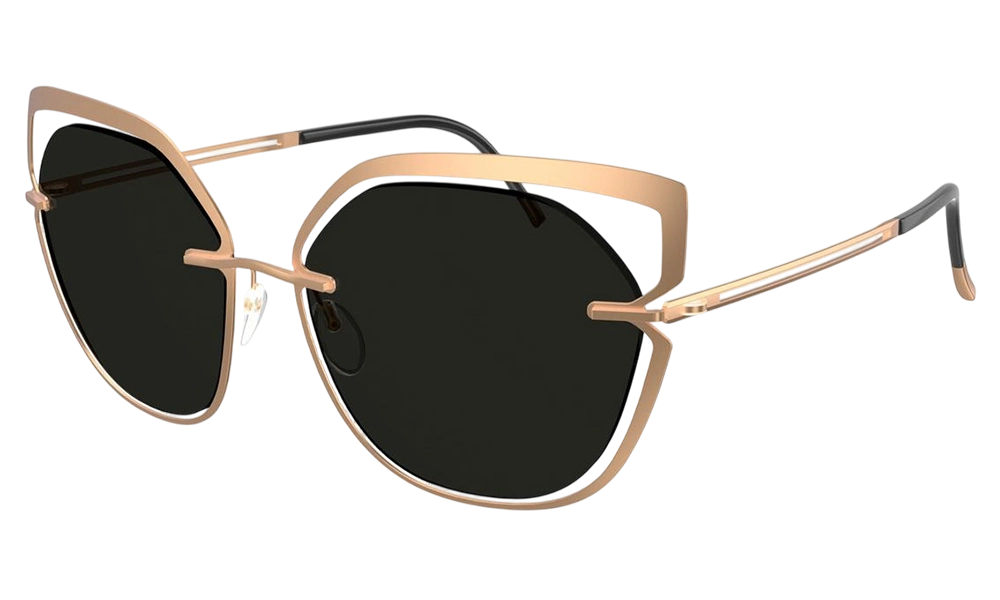 Солнцезащитные очки SILHOUETTE SG 8181 3620