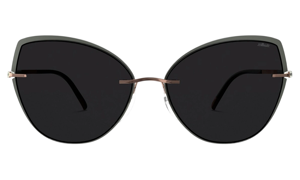 Солнцезащитные очки SILHOUETTE SG 8188 6630
