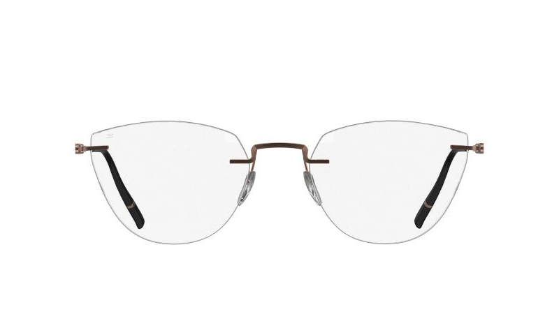 Оправа SILHOUETTE 5586_DL 6040