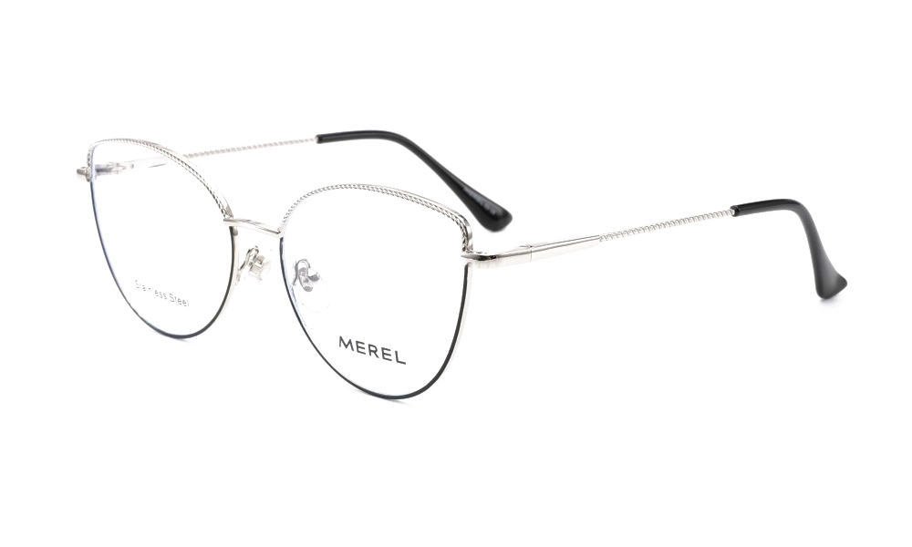 Очки для зрения MEREL F93096 C10