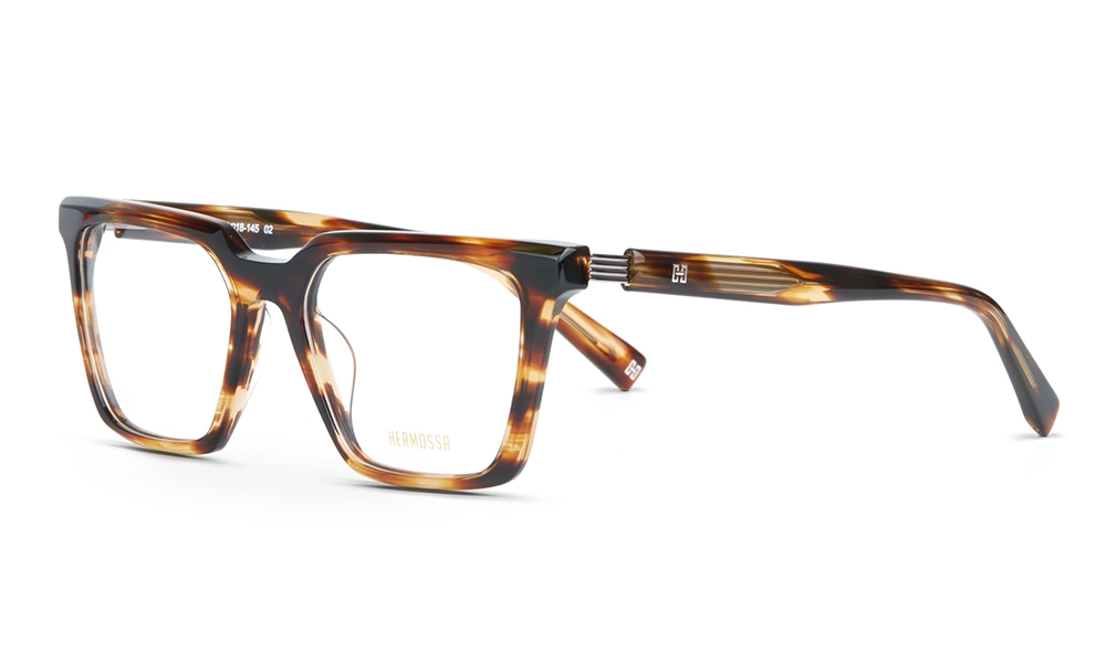 Очки для зрения HERMOSSA HMO 529 C2