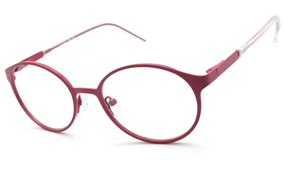 Очки для зрения BANISS BRJ2145 C02