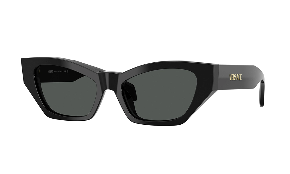 Солнцезащитные очки VERSACE VE 4488U GB1