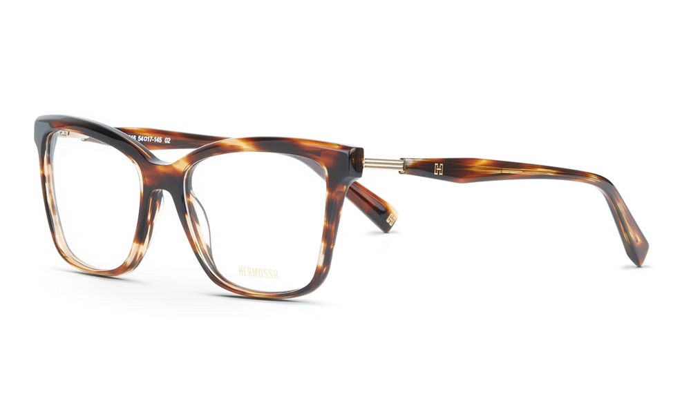 Очки для зрения HERMOSSA HMO 516 C2