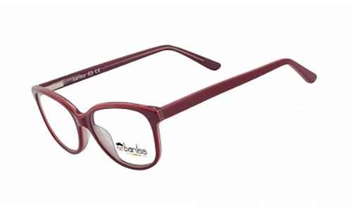Оправа BANISS BSJ5135 C03