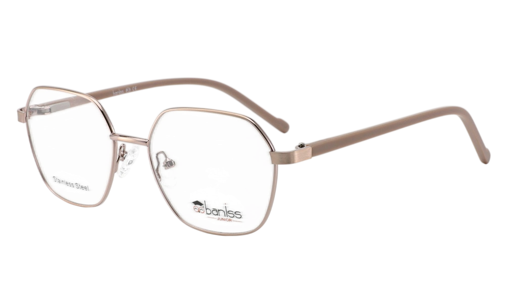 Очки для зрения BANISS BR5114 C03