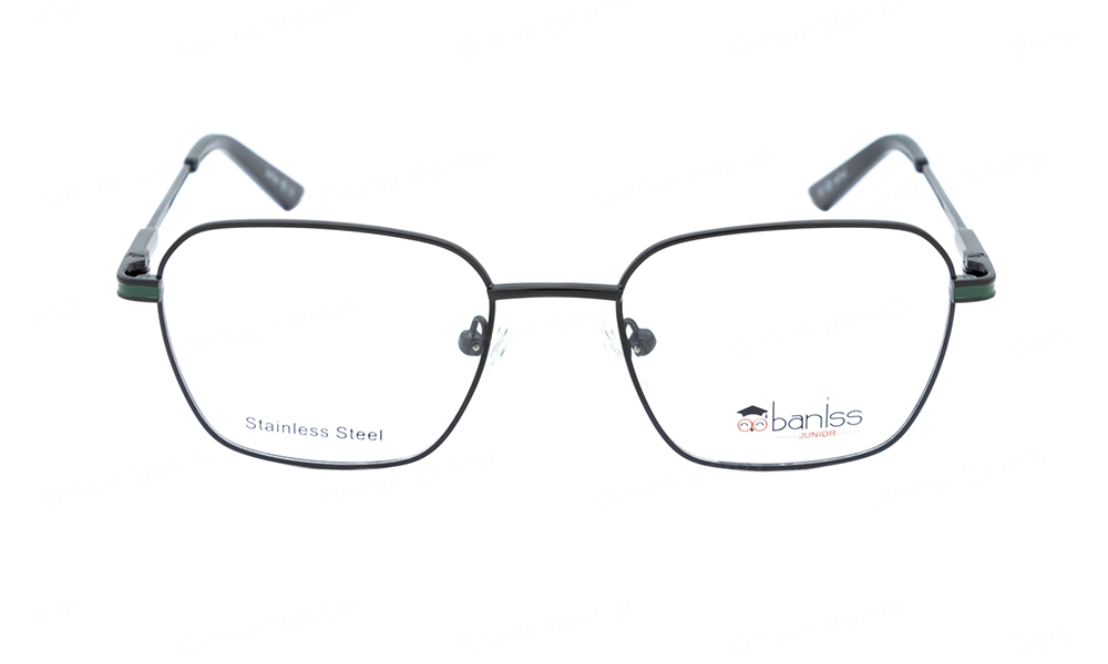 Оправа BANISS BY1016 C02