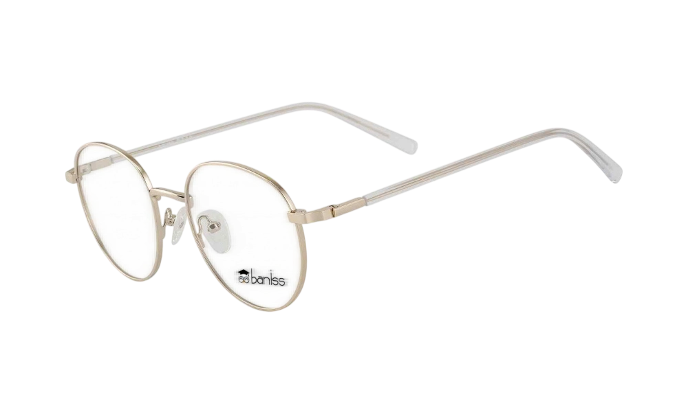 Очки для зрения BANISS BR7046 C03