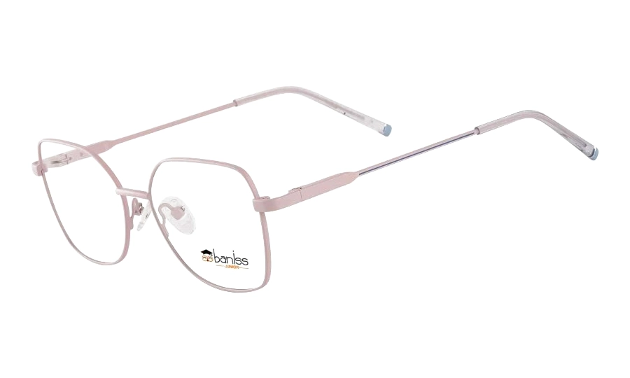 Очки для зрения BANISS BRJ2144 C01