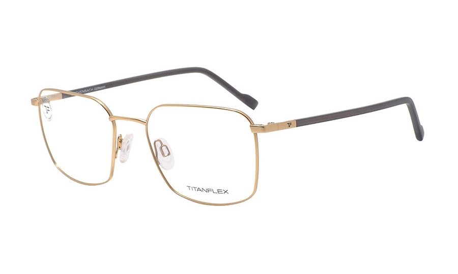 Очки для зрения TITANflex 820877-20