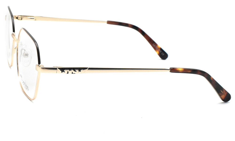 Оправа BANISS BY1001 C03