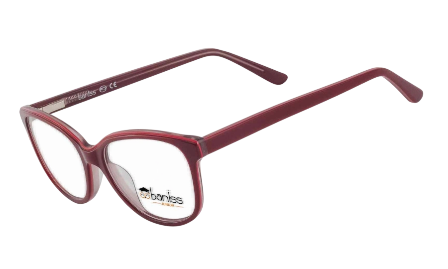 Очки для зрения BANISS BSJ5135 C03