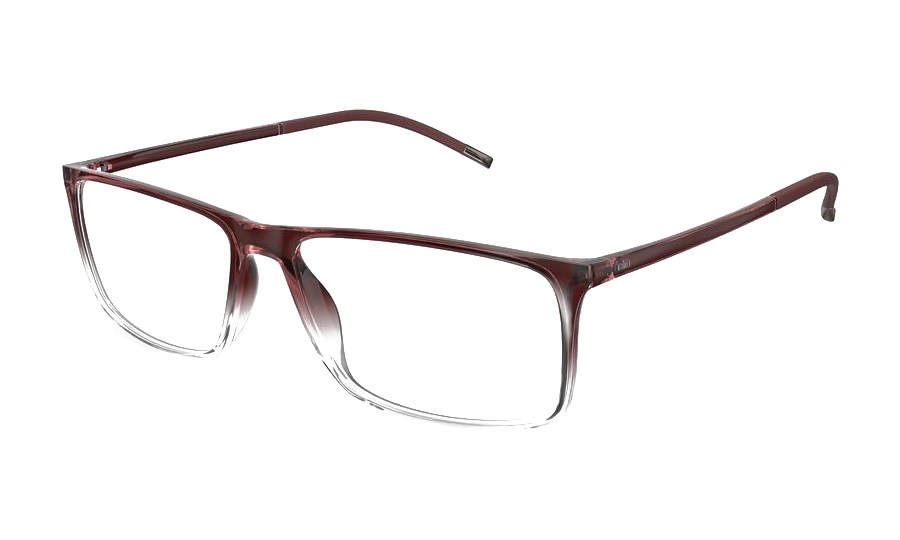 Оправа SILHOUETTE 2941_75 3210