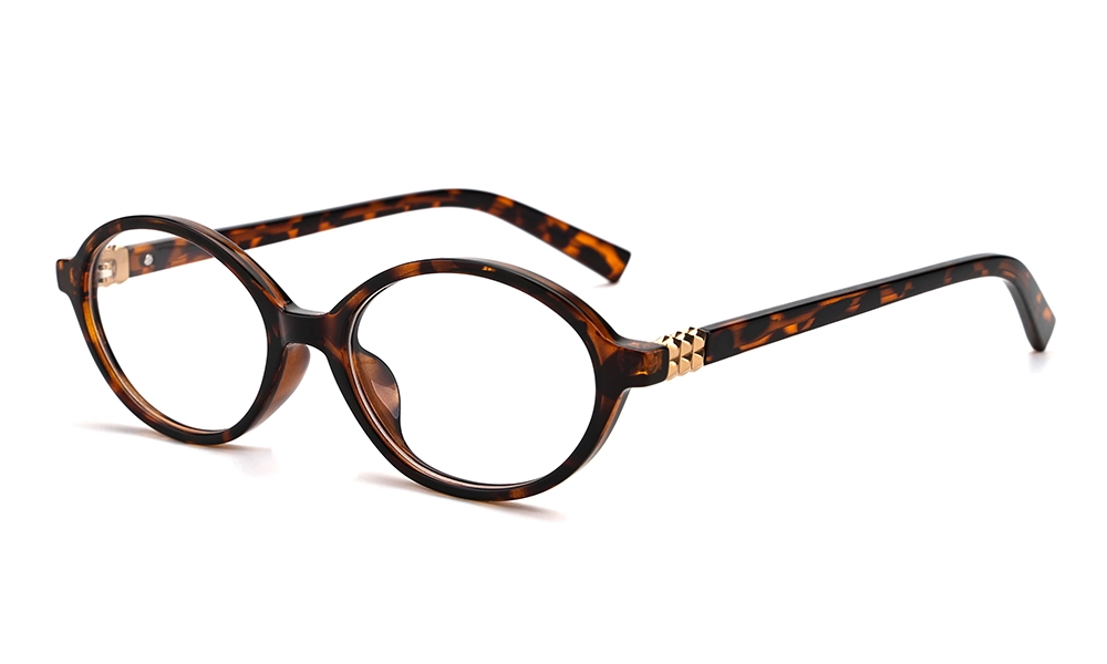 Очки для зрения DONNA DN3255 C2